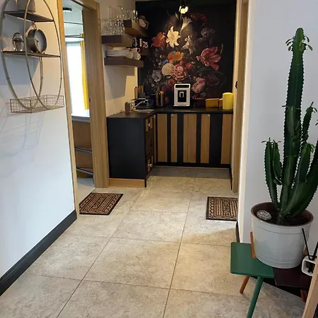 住宿加早餐酒店 Nova 3*